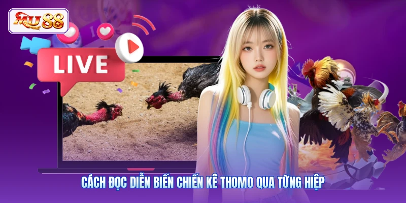 Cách đọc diễn biến chiến kê Thomo qua từng hiệp