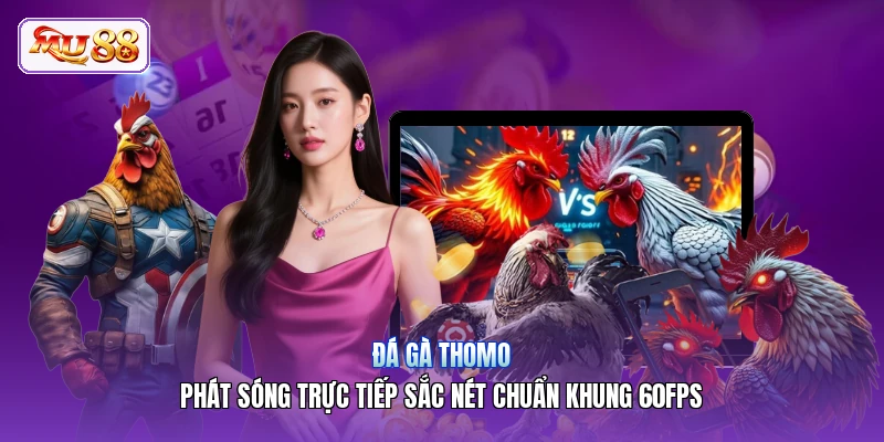 Đá Gà Thomo | Phát Sóng Trực Tiếp Sắc Nét Chuẩn Khung 60FPS