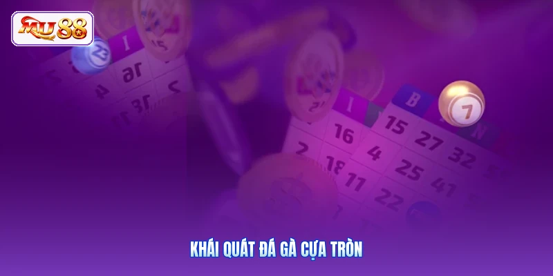 Khái quát đá gà cựa tròn
