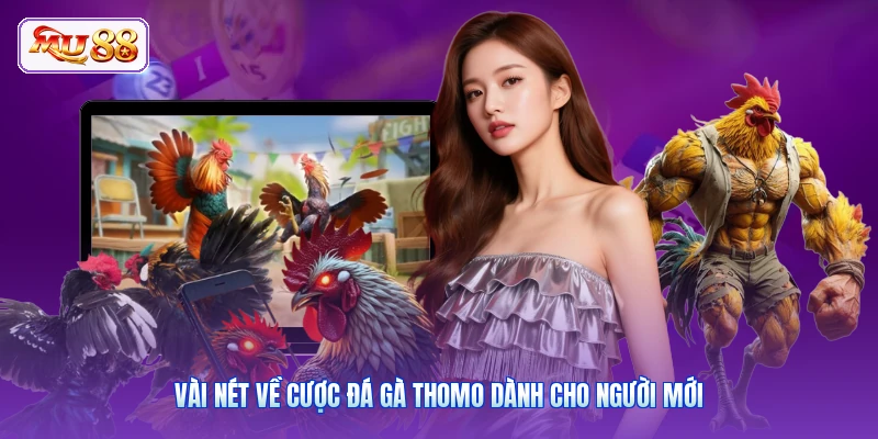 Vài nét về cược đá gà Thomo dành cho người mới